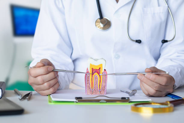Best Emergency Tooth Extraction in Country Clu, FL